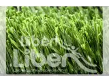 High Quality Sports Grass  Of  Park
