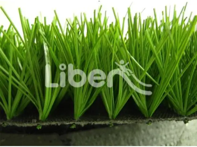 High Quality Sports Grass  Of  Park