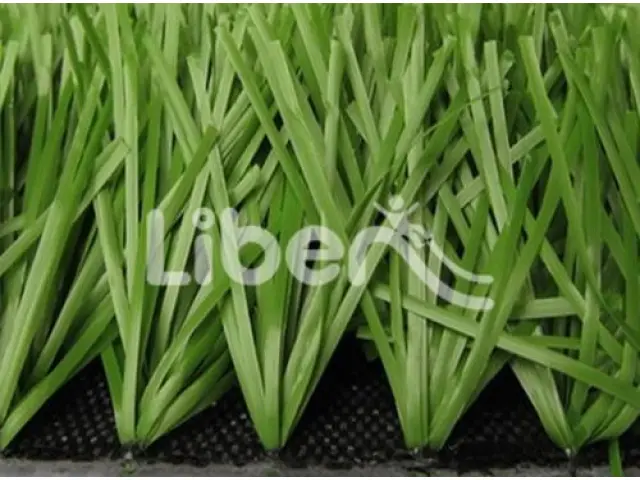 High Quality Sports Grass Series Of  Park
