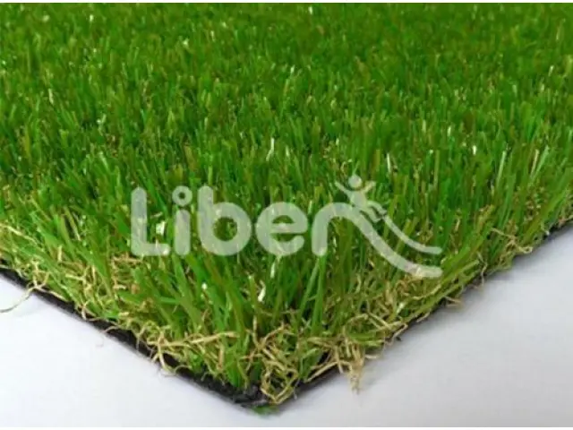 Sports Grass Series For School