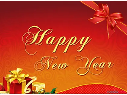 Chinese New Year Holiday Notice