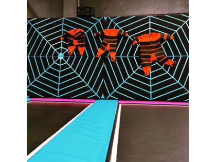 Spider Wall-Do not Imitate