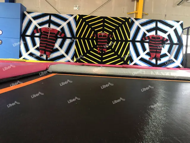 Indoor Trampoline Park Jump Spider Wall