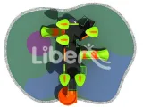 Preschool Cutdoor Playground Equipment