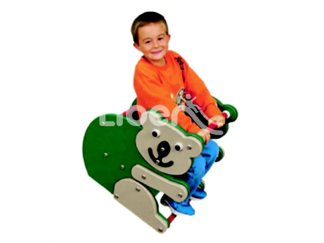 Cheap Spring Rider Used Playground Spring Riders