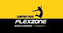 Flexzone
