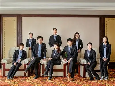 Domestic Sales Team