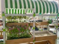 Farming Themed Kid Playground Kindergarten Area