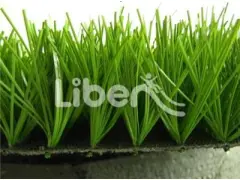 High Quality Sports Grass  Of  Park
