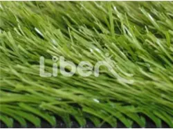 Sports Grass For Sale