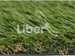Sports Grass For School