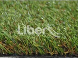 Sports Grass  Of  Park