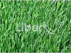 High Quality Sports Grass Series For School