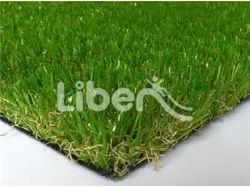 Sports Grass Series For School