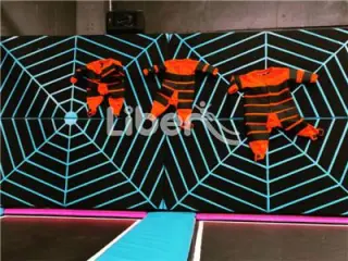 Indoor Trampoline Park Jump Spider Wall
