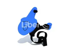 Spring Rider Of Equipment By Liben