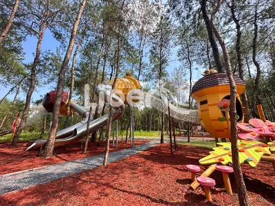 How Can Outdoor Adventure Training Benefit Your Child’s Physical and Social Skills？