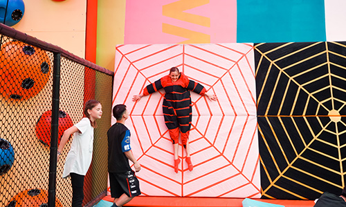 Spider Wall