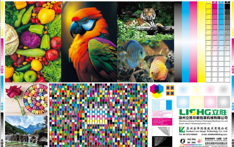 Échelle de contrôle couleur et précision d'impression flexographique LISHG