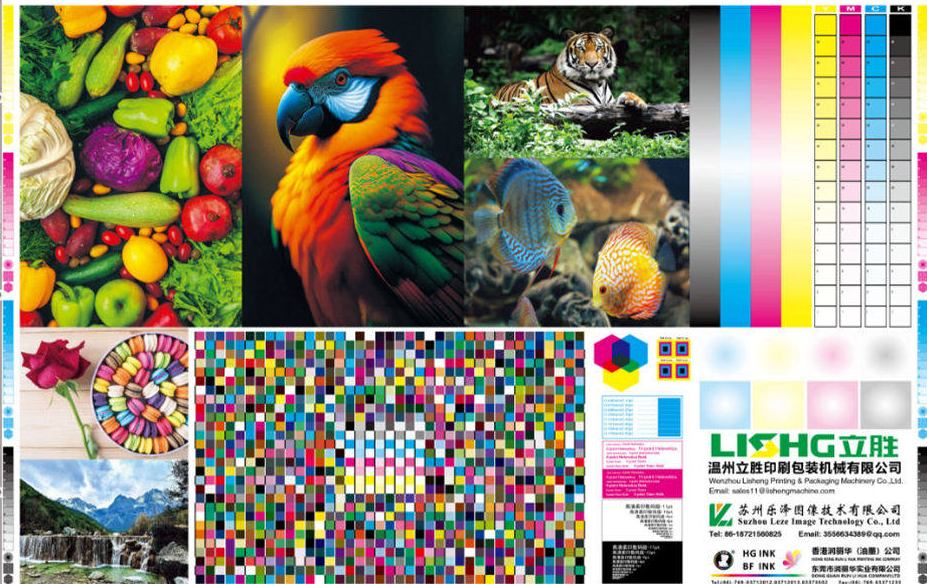 &Eacute;chantillon d'impression flexographique YTD s&eacute;rie Apex