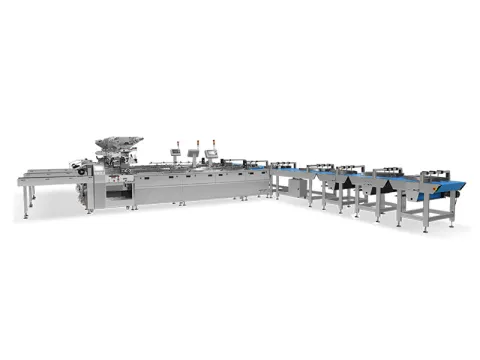 Cake Seasoning Machine
