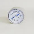 1-Point Neutral Pressure Gauge