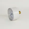 1-Point Neutral Pressure Gauge