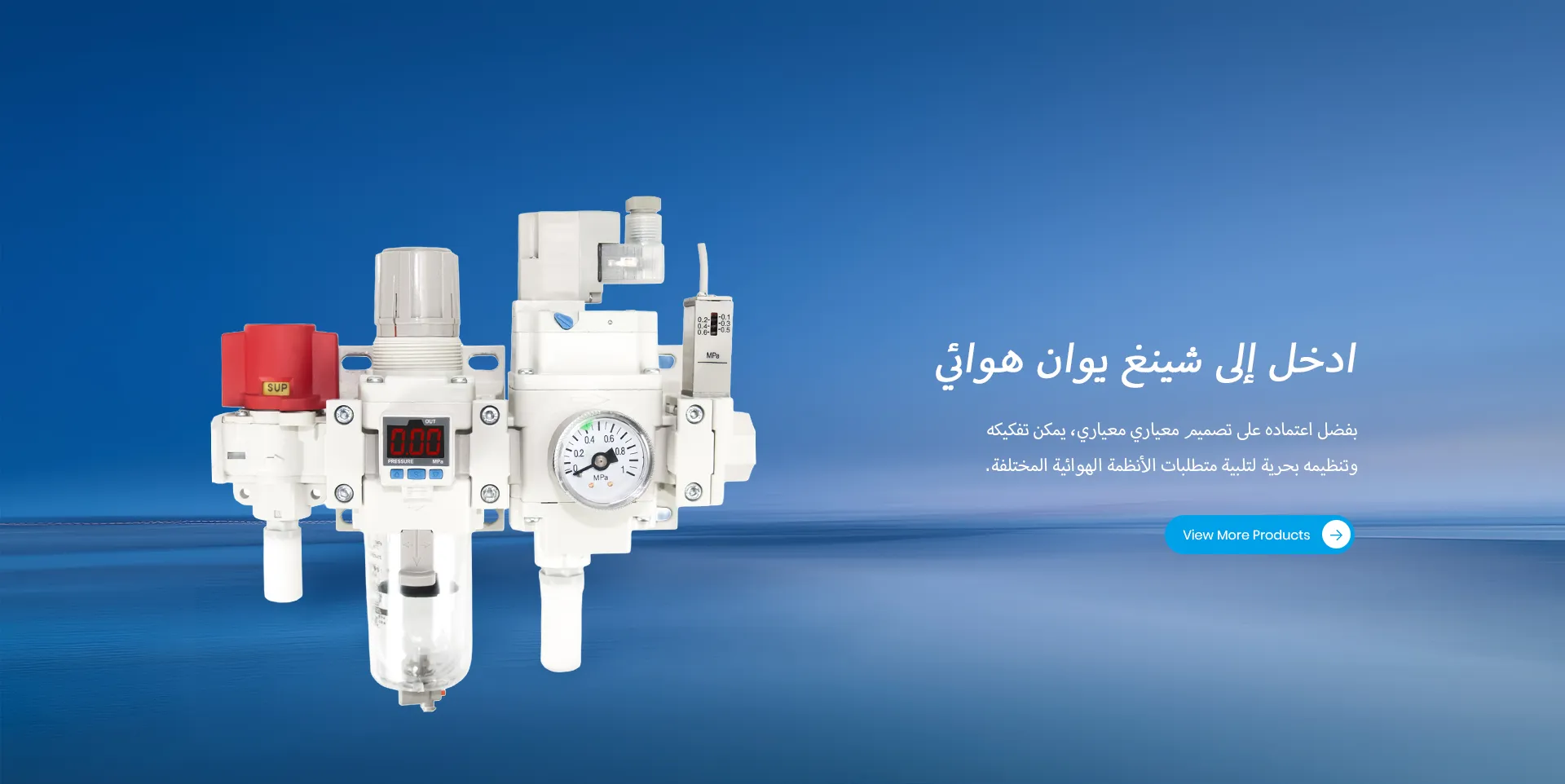 شركة يويتشينغ شينغيوان الهوائية المحدودة.