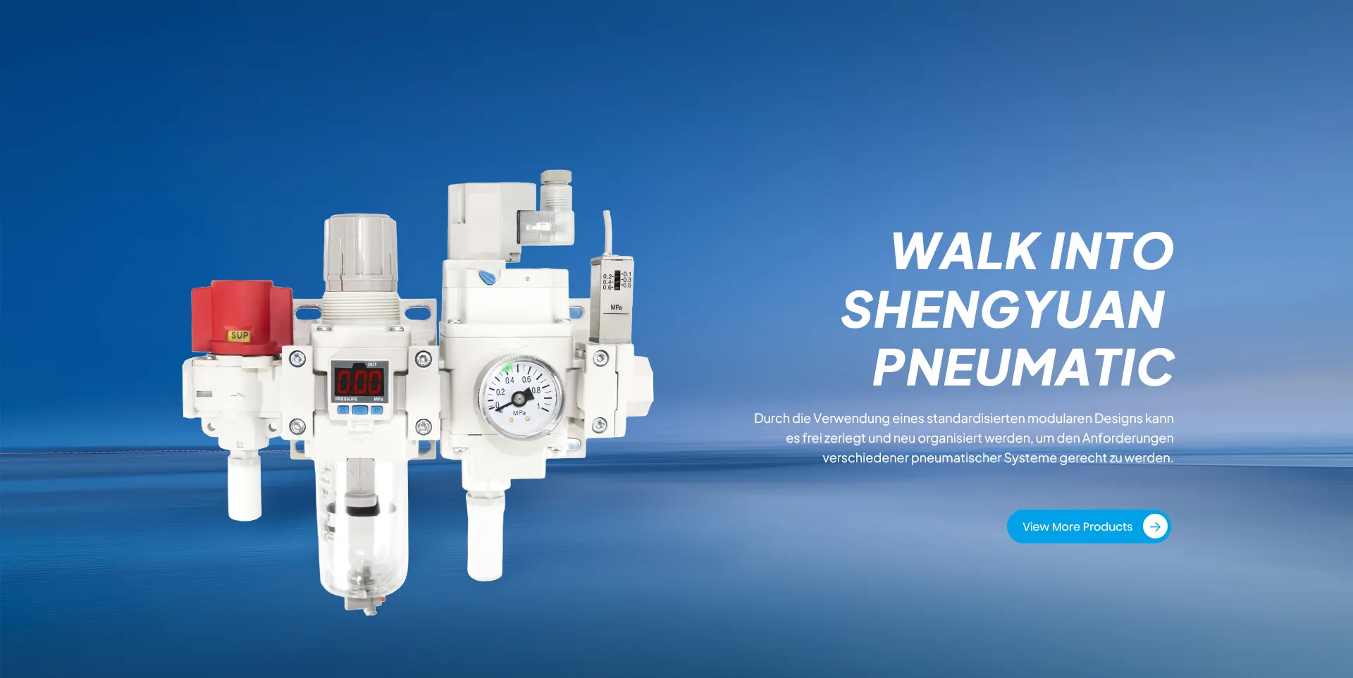 YUEQING SHENGYUAN PNEUMATIC CO., LTD.
