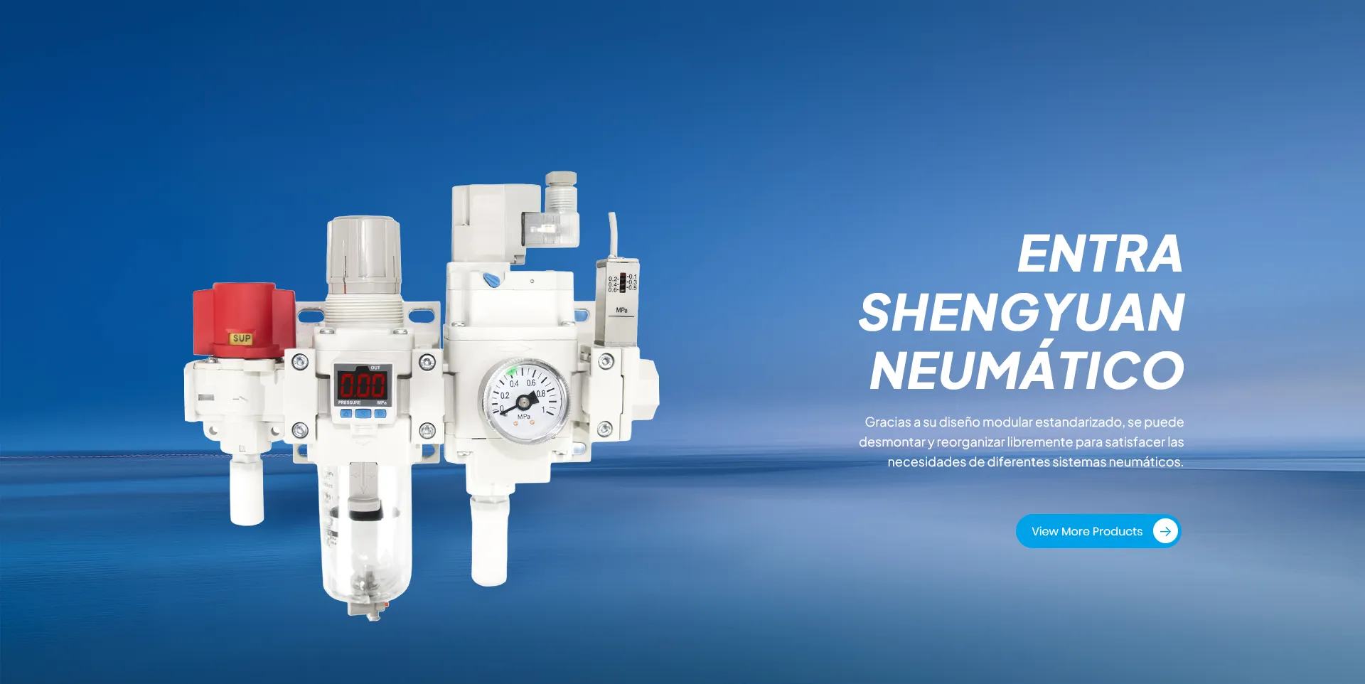 YUEQING SHENGYUAN NEUMÁTICA CO., LTD.