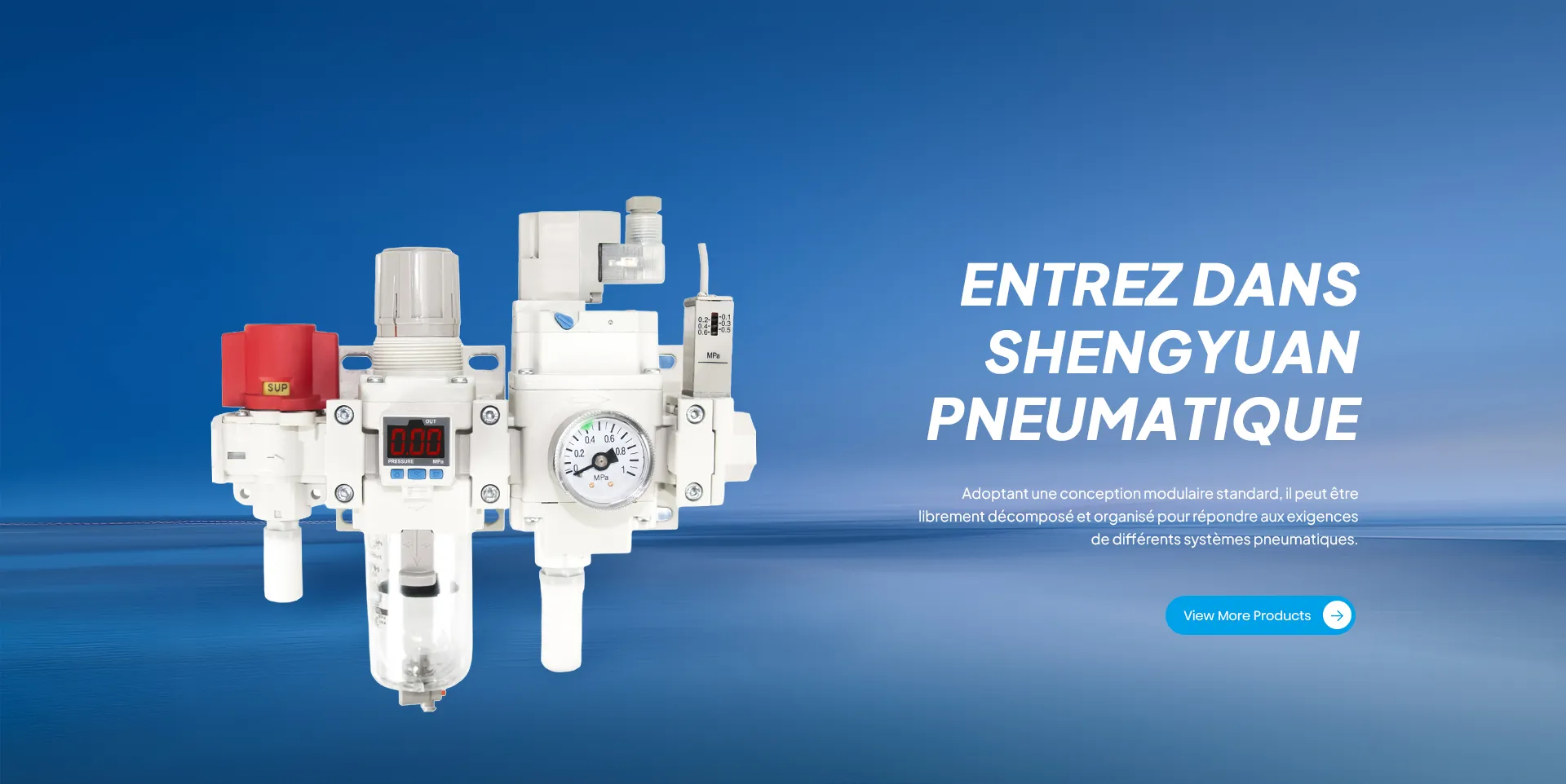 YUEQING SHENGYUAN PNEUMATIQUE CO., LTD.