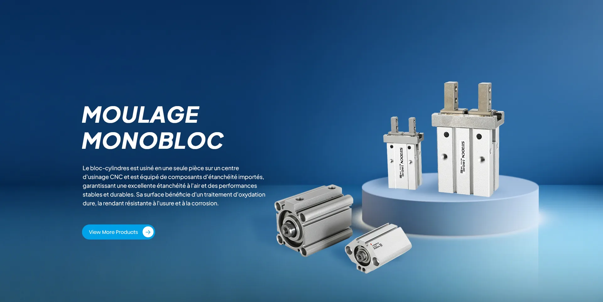 YUEQING SHENGYUAN PNEUMATIQUE CO., LTD.