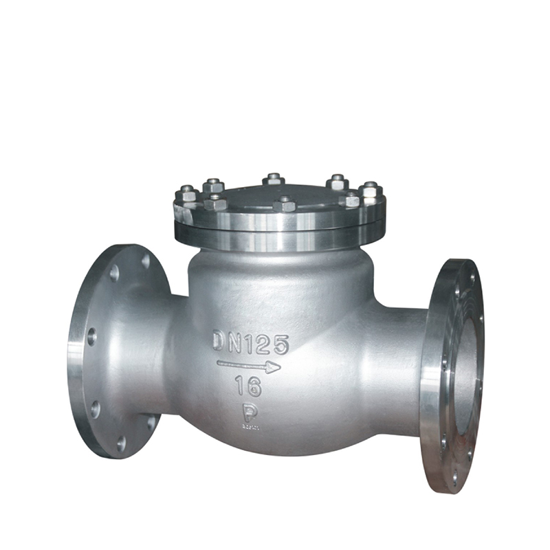 National standard stainless steel swing check valve