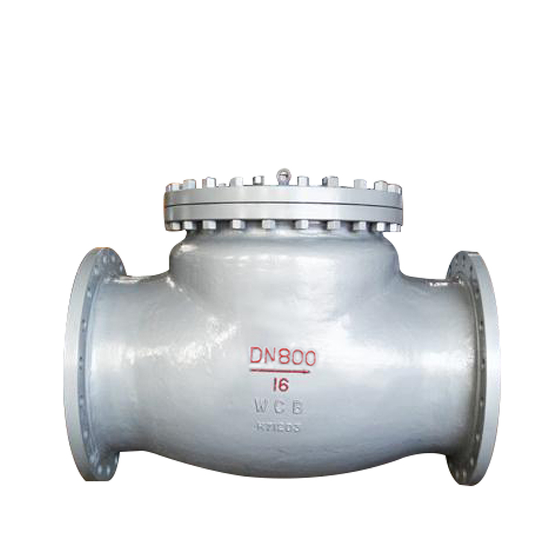 National standard cast steel swing check valve