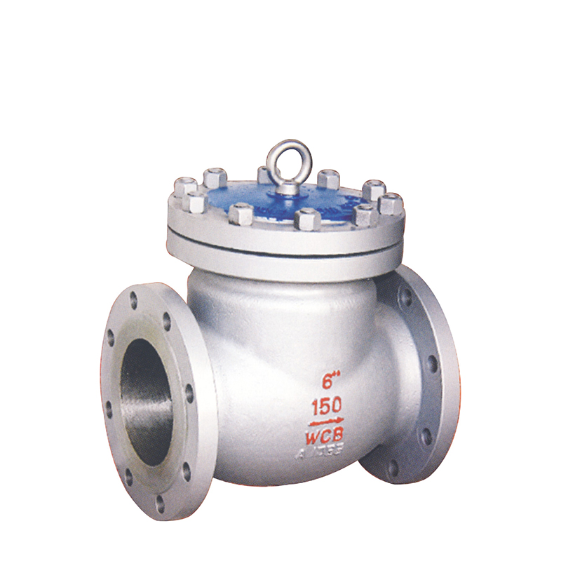 Cast steel American standard check valve