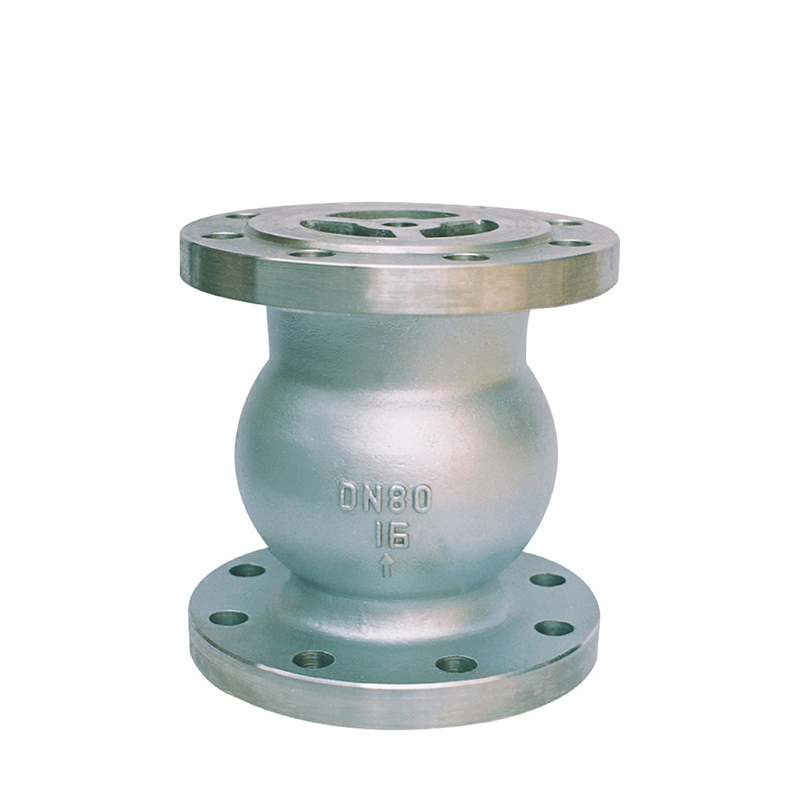 National standard stainless steel vertical check valve