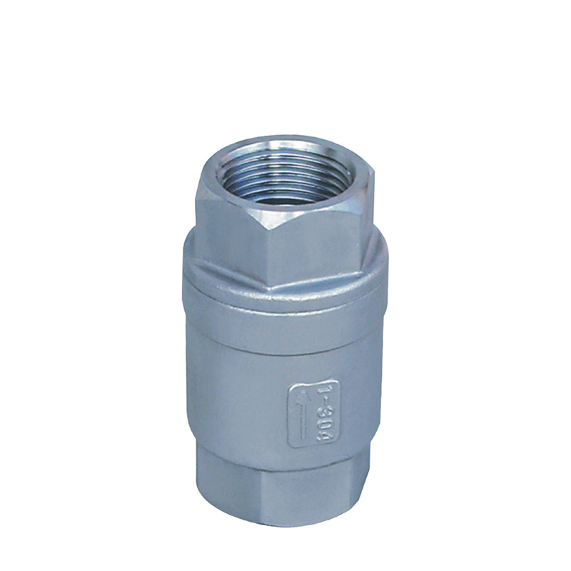 Stainless steel internal thread vertical check valve