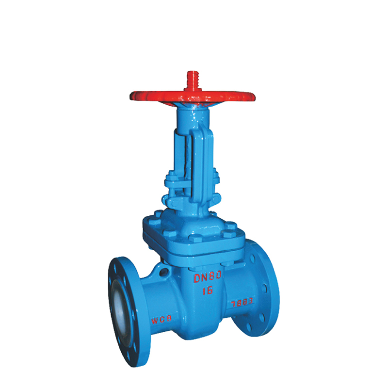 Fluorine-lined gate valve
