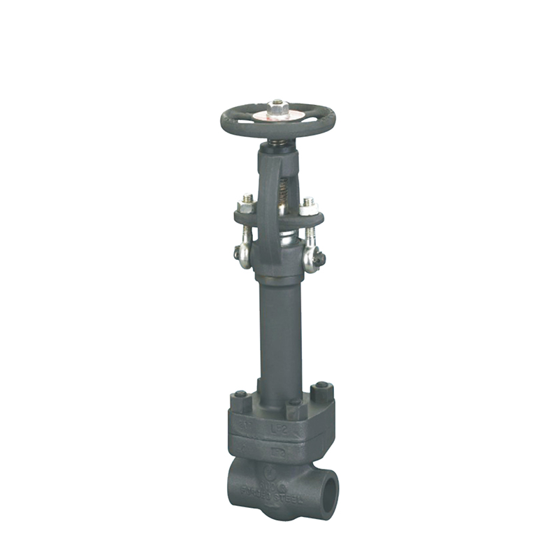  Previous Next Extension rod welded gate valve