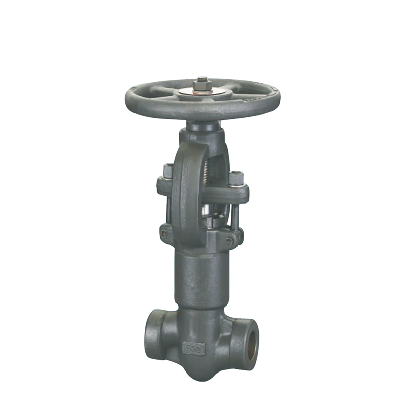 Welded gate valve