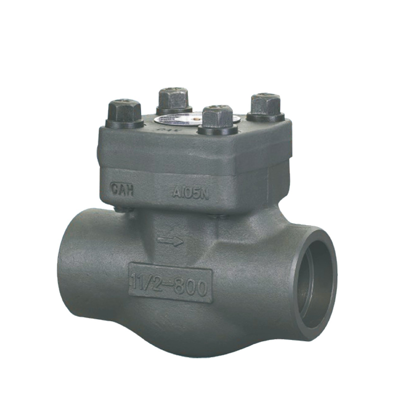 Forged steel check valve