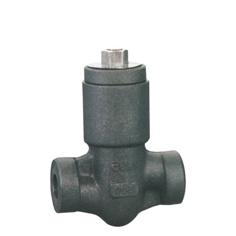 Forged steel check valve