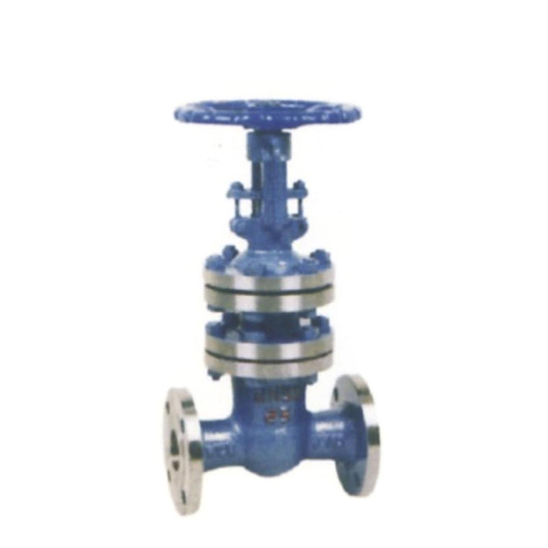 Bellows gate valve