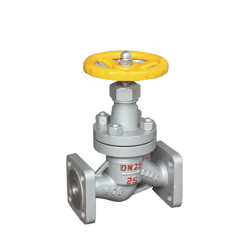 Ammonia globe valve