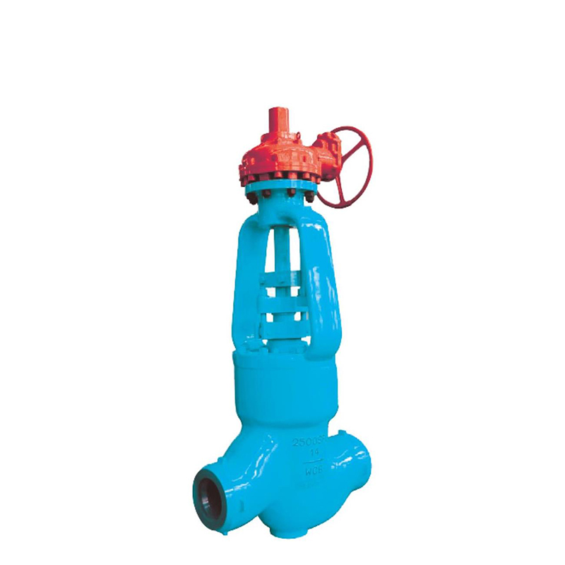 Worm gear globe valve