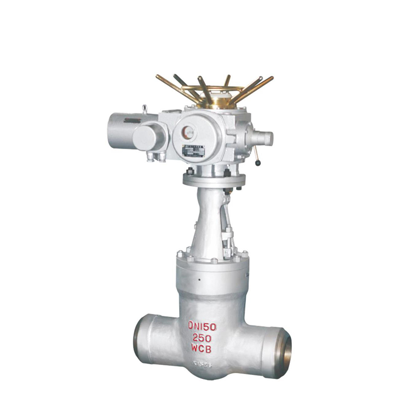 Power station gate valve