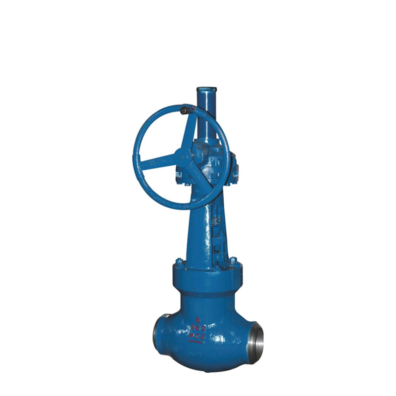 Worm gear globe valve
