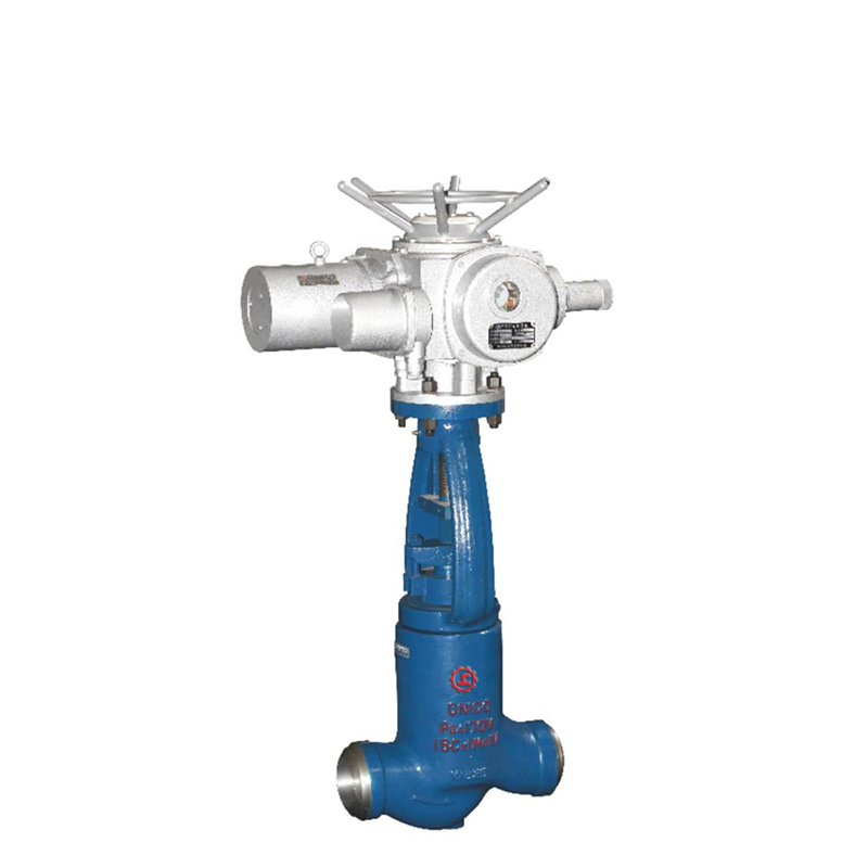 Electric globe valve