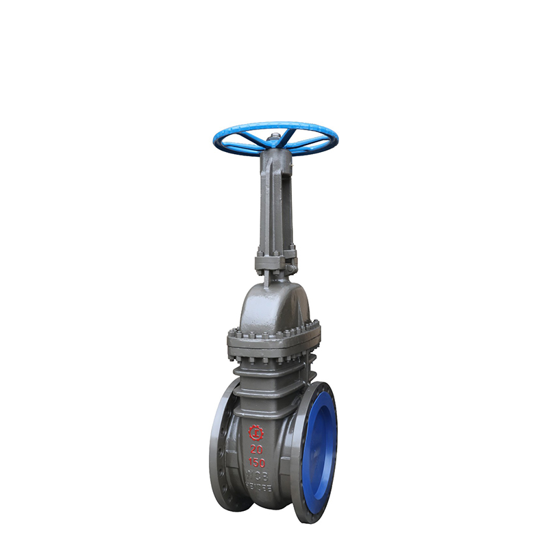 API Cast Steel Gate Valve