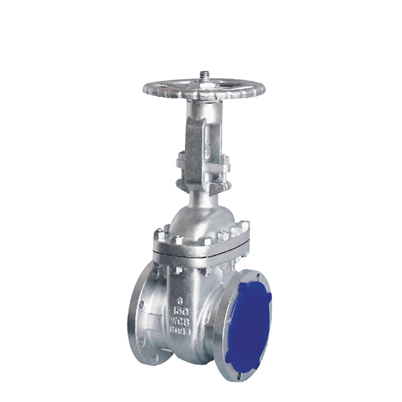 API Stainless Steel Gate Valve